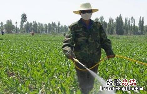 水溶肥怎么施 水溶肥施肥原则及方法