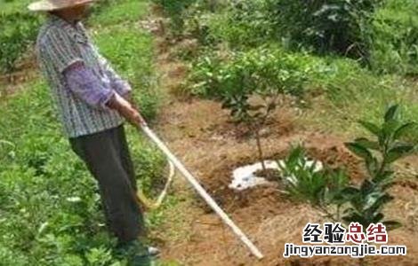 水溶肥怎么施 水溶肥施肥原则及方法