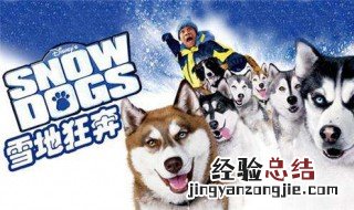 狗拉雪橇的电影叫什么 你知道吗