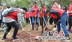 植树节可以做什么活动 你知道吗