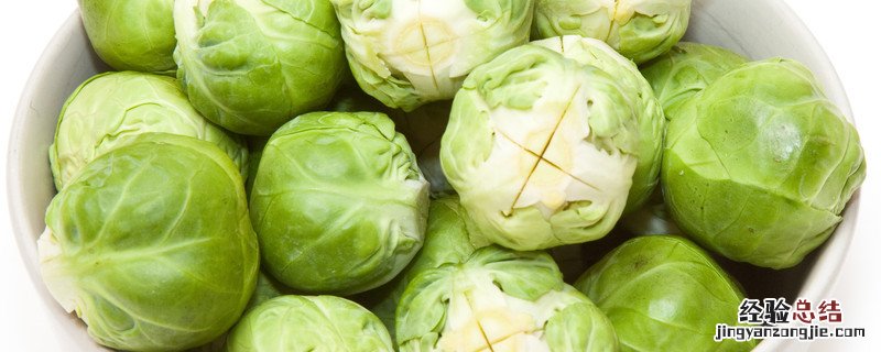 紫甘蓝属于结球甘蓝吗 甘蓝不结球的原因