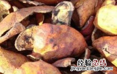 炒石榴皮的炮制与功效 炒石榴皮的功效与作用