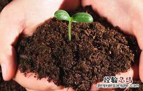 微生物肥料的作用机理 微生物肥料的作用