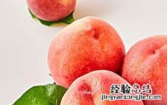 桃果是什么吃的 桃果是什么