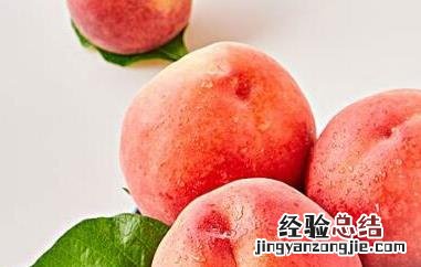 桃果是什么吃的 桃果是什么