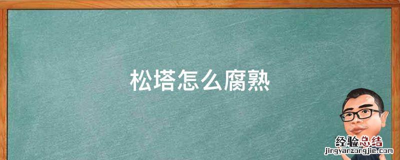 松塔怎么腐熟 松塔腐熟有无营养