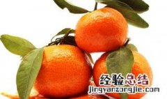 沙糖桔的营养价值 沙糖桔的介绍