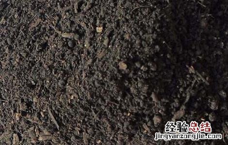 有机肥做追肥需注意的问题 有机肥能否作为追肥来使用,应当如何处理