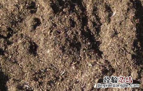 有机肥做追肥需注意的问题 有机肥能否作为追肥来使用,应当如何处理