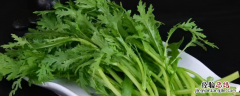 哪些蔬菜适合在夏季种植，以下几类蔬菜适合种植