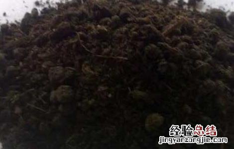 对肥料认识的常见误区 对肥料认识的常见误区是
