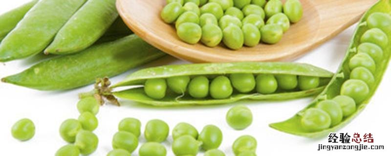 北方豌豆什么时候播种 北方豌豆什么时候播种子的