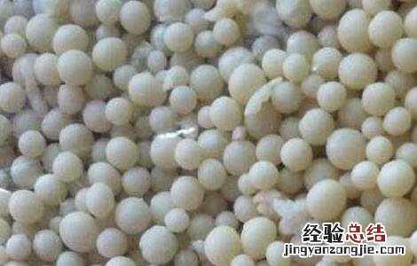 氮肥的合理施用技术 氮肥的合理施用技术措施