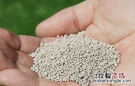 大田作物硼肥施用技术 大田作物硼肥施用技术视频
