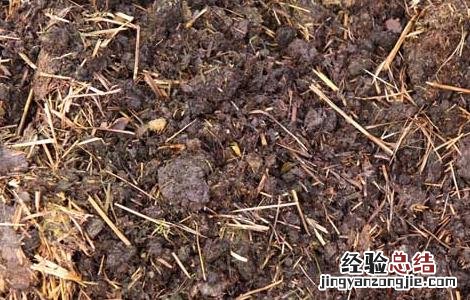 四种常见不合理的施肥方法 四种常见不合理的施肥方法有哪些