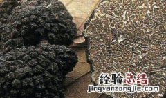 新鲜黑松露怎么吃 新鲜黑松露吃法