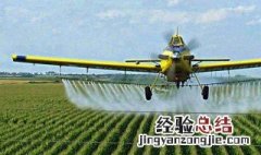 除草剂有哪些 想要知道这方面情况的进来