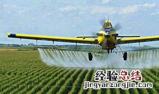 除草剂有哪些 想要知道这方面情况的进来
