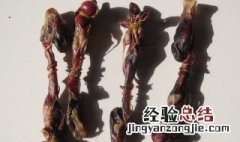 狗鞭怎么做好吃 狗鞭如何做好吃