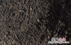 如何提高农家肥的使用效果 农家肥使用注意事项