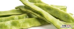 怎样种豆角 如何种豆角才能长得多