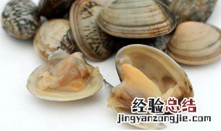 青豆蛤蜊沙拉怎么做 青豆蛤蜊沙拉怎么做好吃