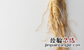 小人参长什么样 小人参和人参