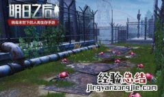 明日之前丧尸 明日之后第二季更新了什么丧尸
