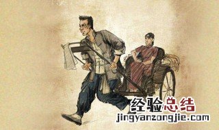 骆驼祥子第十一章阅读感想 骆驼祥子第十一章介绍