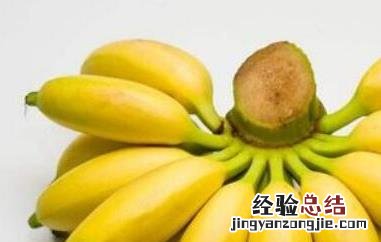 香蕉的药用功效和作用 木香蕉的功效与作用及药用价值