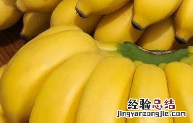 香蕉的药用功效和作用 木香蕉的功效与作用及药用价值