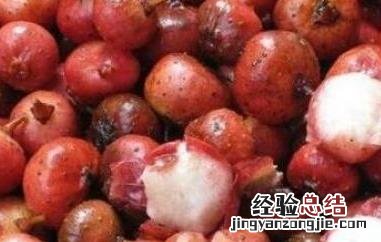 野地瓜怎么吃好吃 野地瓜怎么吃