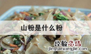 青田山粉是什么粉 山粉是什么粉