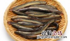 鳝鱼的营养价值功效及禁忌 鳝鱼有哪些营养和禁忌介绍
