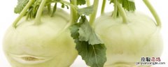 大头菜种植方法和时间 大头菜种植方法和时间视频