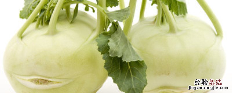 大头菜种植方法和时间 大头菜种植方法和时间视频
