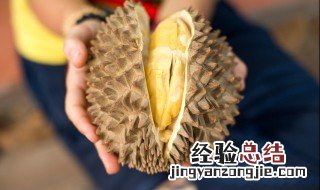 榴莲英语怎么说读 榴莲英语怎么说