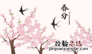 春分时节养生小知识 春分节气养生常识