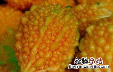 金铃子的功效与作用 金铃子散的功效与作用