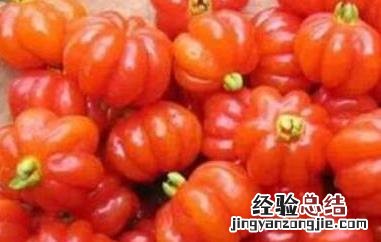 苦樱桃的功效与作用及禁忌是什么 苦樱桃的功效与作用