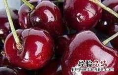 黑樱桃和樱桃的区别图片 黑樱桃和樱桃的区别