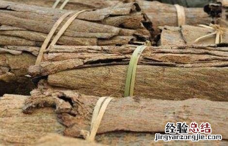 杜仲剥皮技术 杜仲环剥技术及注意事项