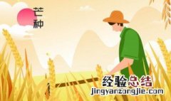 芒种起居养生注意事项 芒种养生小妙招