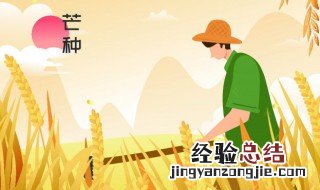 芒种起居养生注意事项 芒种养生小妙招