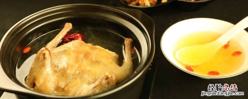 怎么炖鸽子 怎么炖鸽子的正确方法