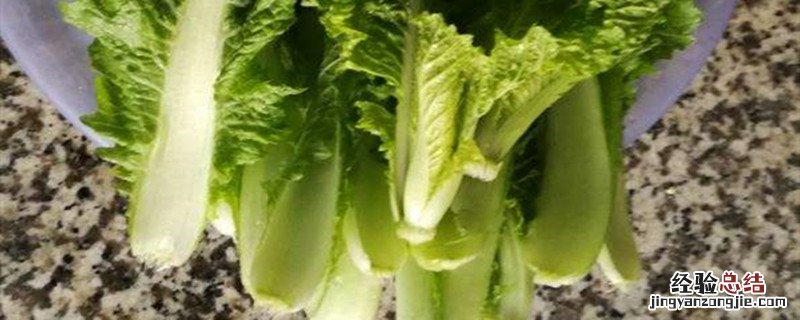 大白菜种植方法和时间 大白菜种植时间和方法