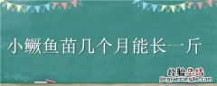小鳜鱼苗一个月能长多大 小鳜鱼苗几个月能长一斤
