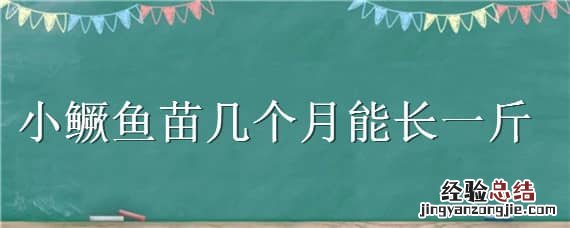 小鳜鱼苗一个月能长多大 小鳜鱼苗几个月能长一斤