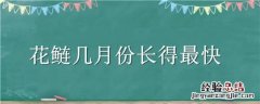 花鲢一年中几月份长得最快 花鲢几月份长得最快