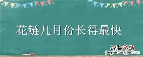 花鲢一年中几月份长得最快 花鲢几月份长得最快